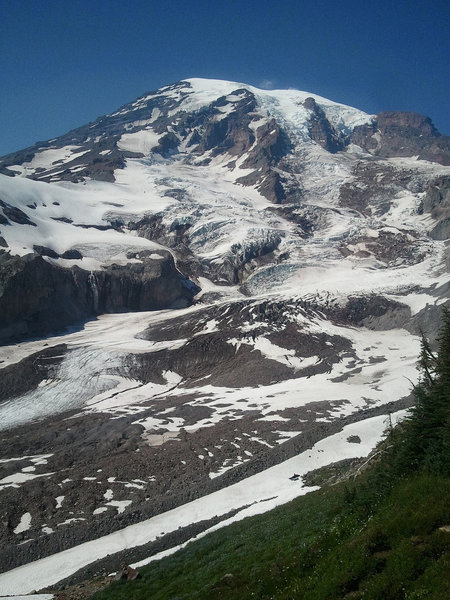 Mount Rainier, south side, from Glacier Vista