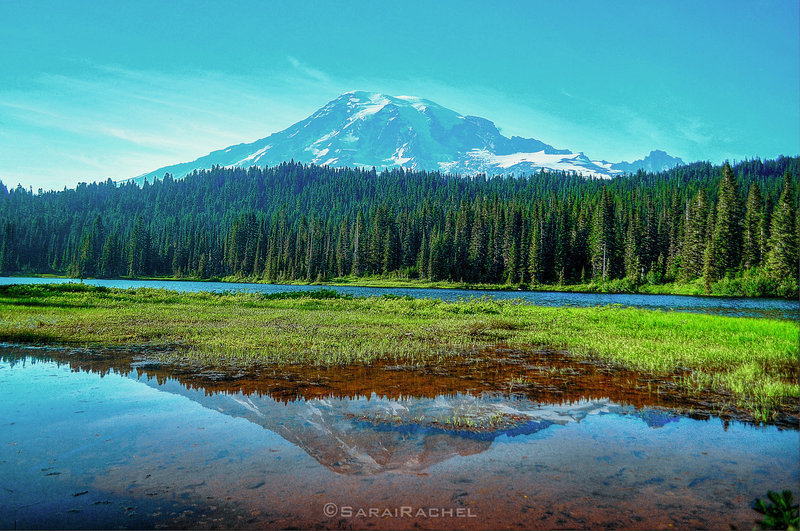 You can't get a bad shot from Reflection Lake, as long as it's sunny...