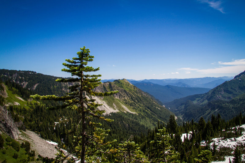 Looking down a lahar valley.