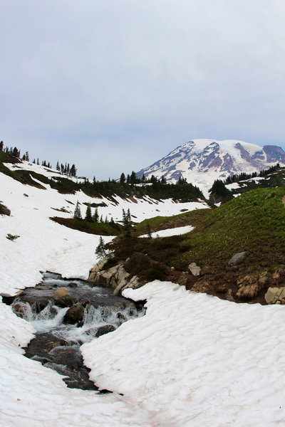 Mount Rainier and flowing water