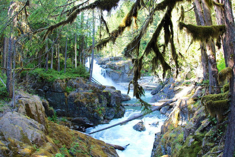 Crossing the Ohanapecosh River