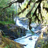 Crossing the Ohanapecosh River