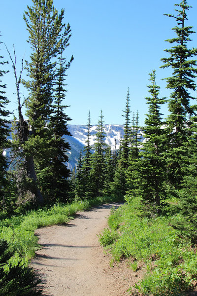 Through the trail near Sunrise