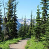 Through the trail near Sunrise