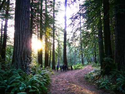 Bolinas Ridge Turnoff