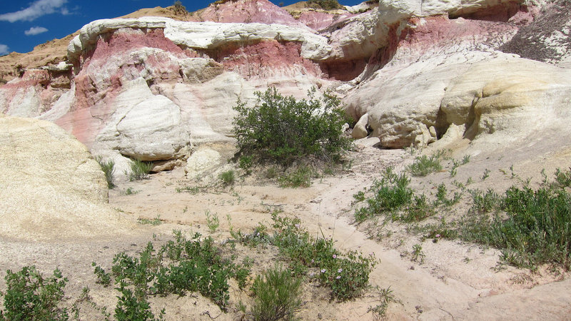 Who painted these rocks??