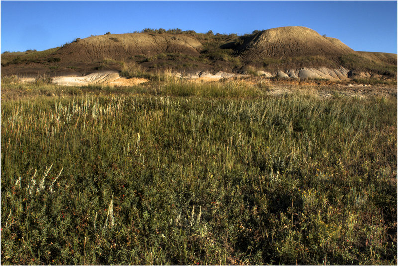 Lush vegetation with the perfect backdrop.
