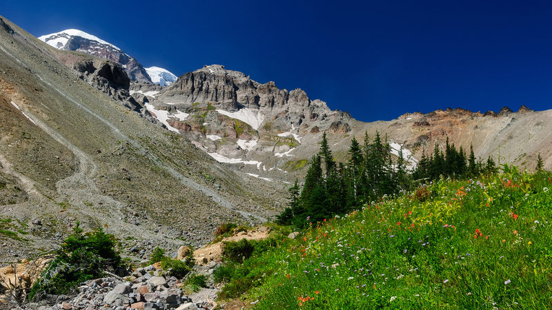 Glacier Basin, Mount Rainier