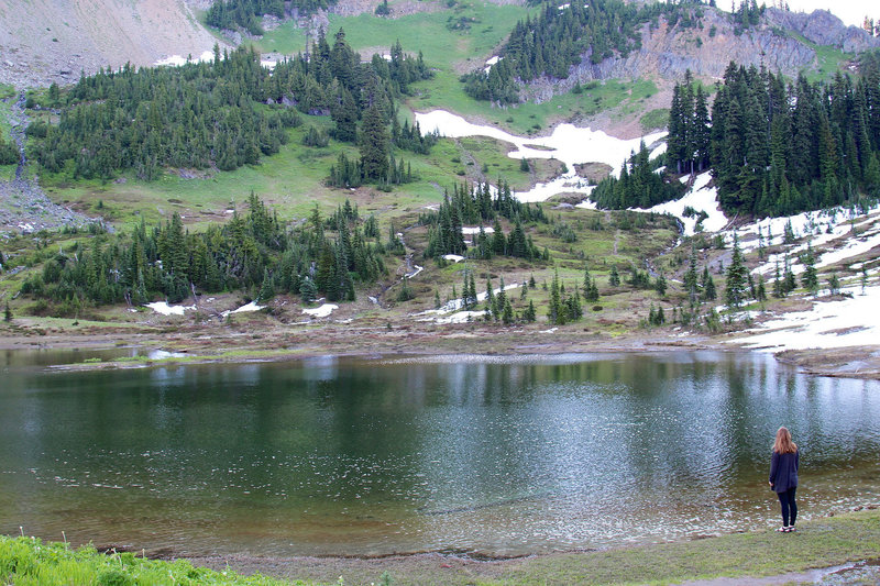 Checking out a small pond