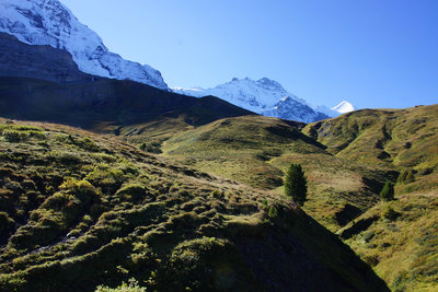 Looking up to the Eiger
