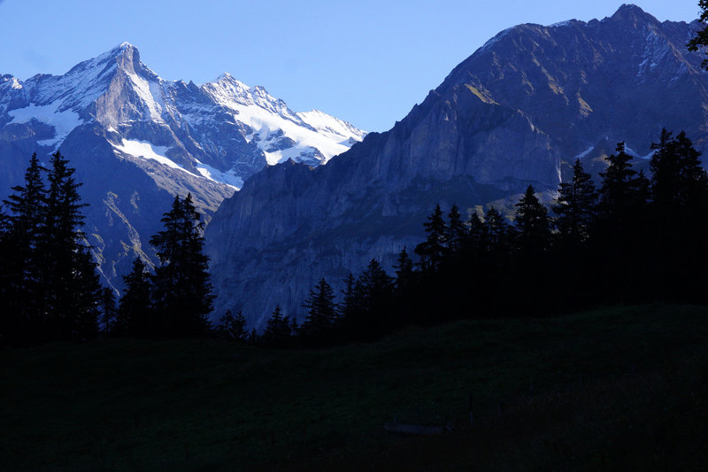 Looking back at the Shreckhorn.