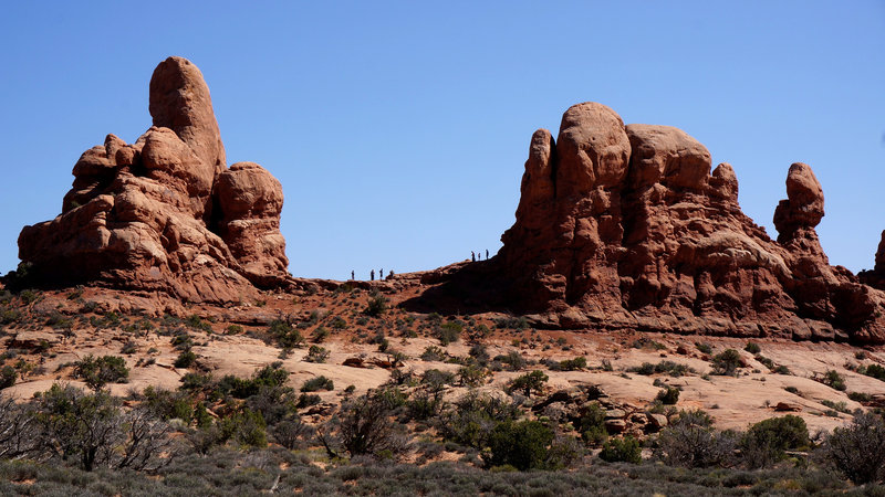 Wonderful rock formations in Arches National Park