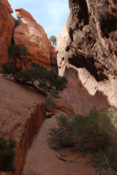 The small canyon behind the Navajo Arch