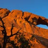 Skewed Skyline Arch