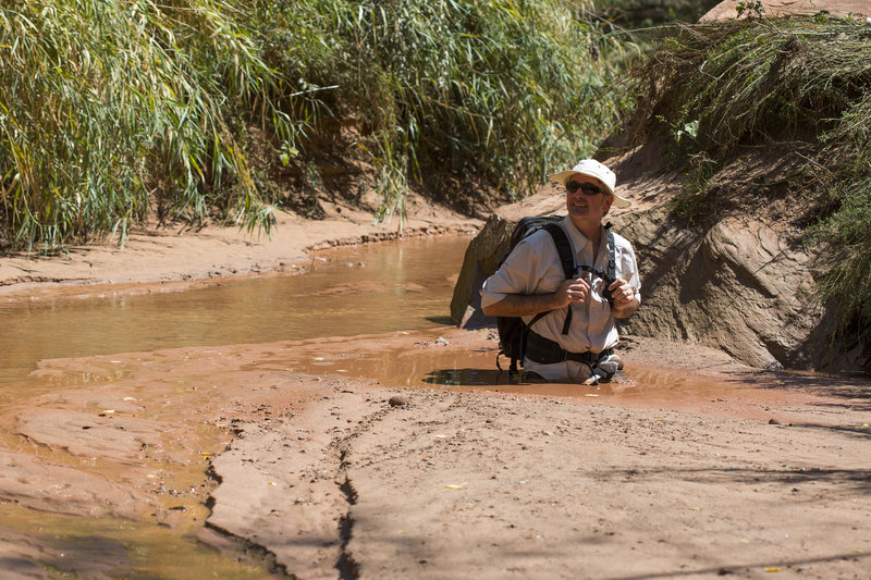 Quicksand in Courthouse Wash