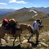 At the top - 12,500'! - you'll probably meet other CO Trail users