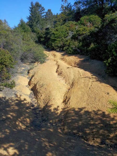 Top section of rutted McCurdy trail