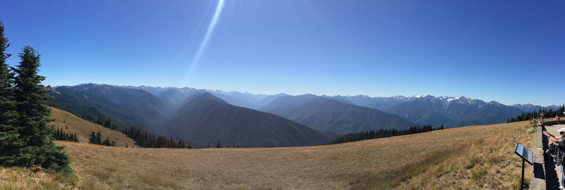 Hurricane Ridge from the Cirque Rim Trail