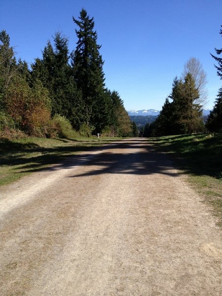 Looking East along the Tolt Pipeline; Cascade Mountains visible in the distance