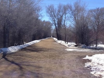 Looking south towards the start and through the tall trees.