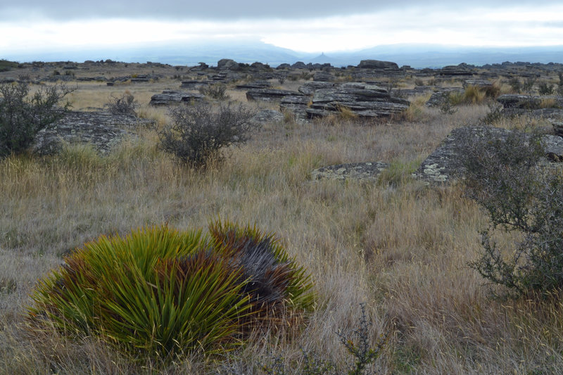 Rocky tors surrounding Sutton Salt Lake