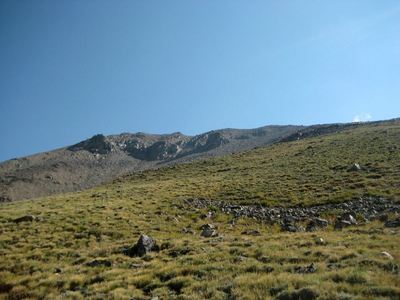 The grassy slopes up Columbia.