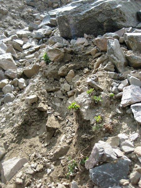 A look at a small rock slide created by your humble author on this tremendously unpleasant traverse.