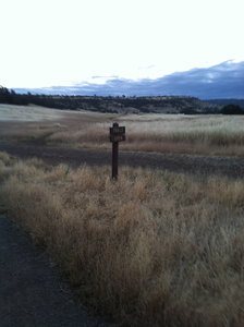 looking east from the North Rim parking lot