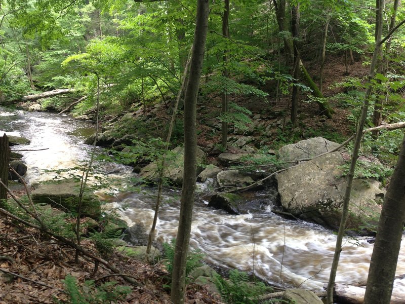 One of the many dangerous river crossings.  Just kidding, a view of the stream from the trail.