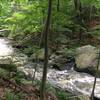 One of the many dangerous river crossings.  Just kidding, a view of the stream from the trail.