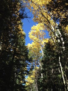 Some pretty colors overhead.