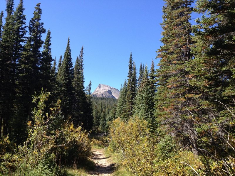 Sawtooth mountain watching over you on Buchanan Pass Trail.