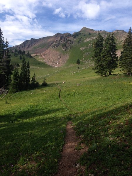 Singletrack rolling on through, Red Mountain Pass on the right hand side