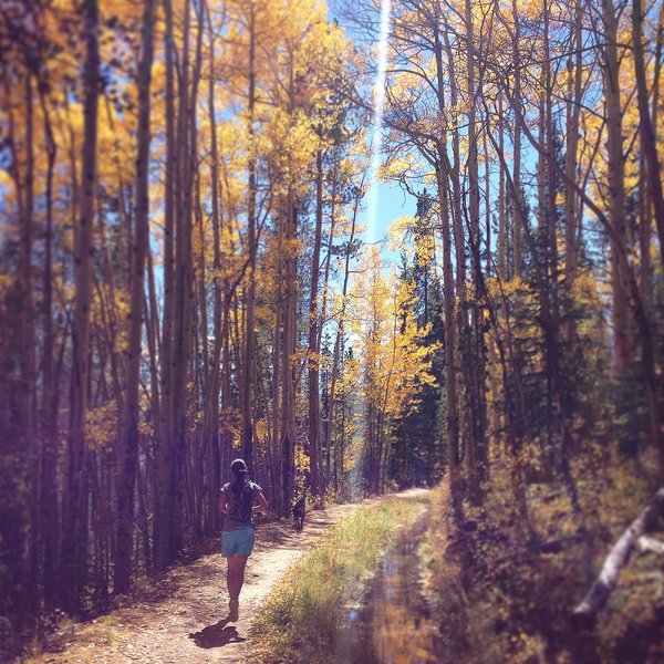 Amazing fall foliage run in September