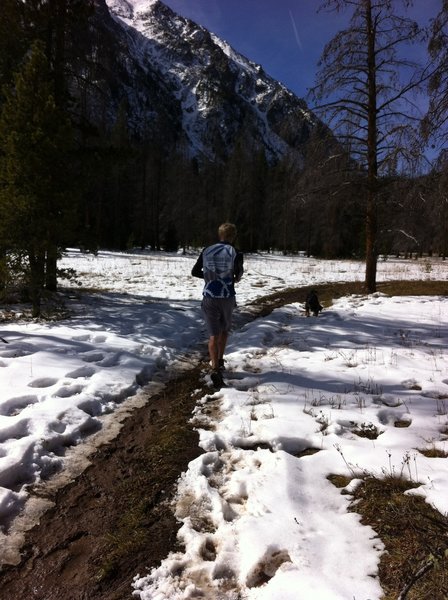 Running towards Buffalo Mountain on Mesa Cortina trail.