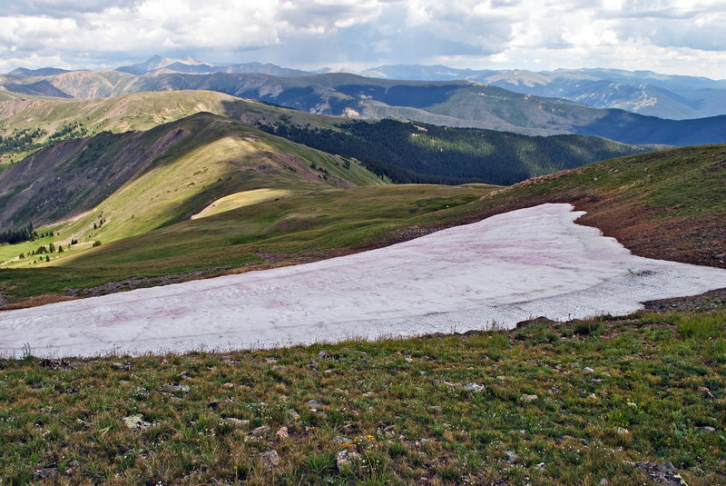 Looking east over a snowfield in August - Ptarmigan Mountain Trail