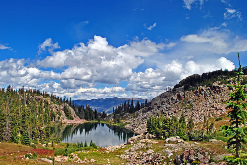 Looking north at one of the many small ponds