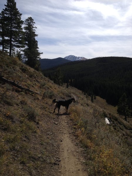 After the climb on Red Trail with my dog Shea