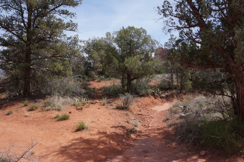 High desert scenery on the Templeton Trail