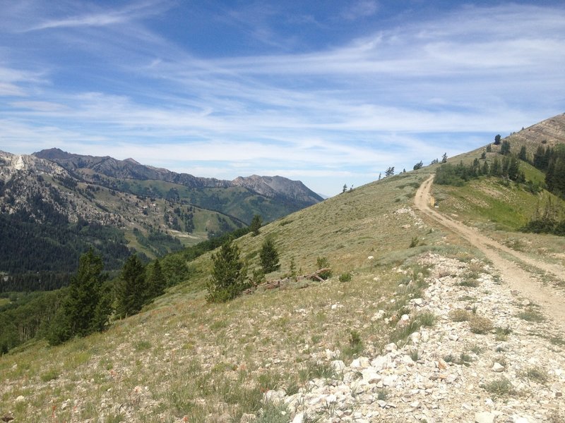 Looking west at the Wasatch Crest trail from the top of Puke Hill