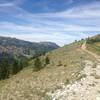 Looking west at the Wasatch Crest trail from the top of Puke Hill