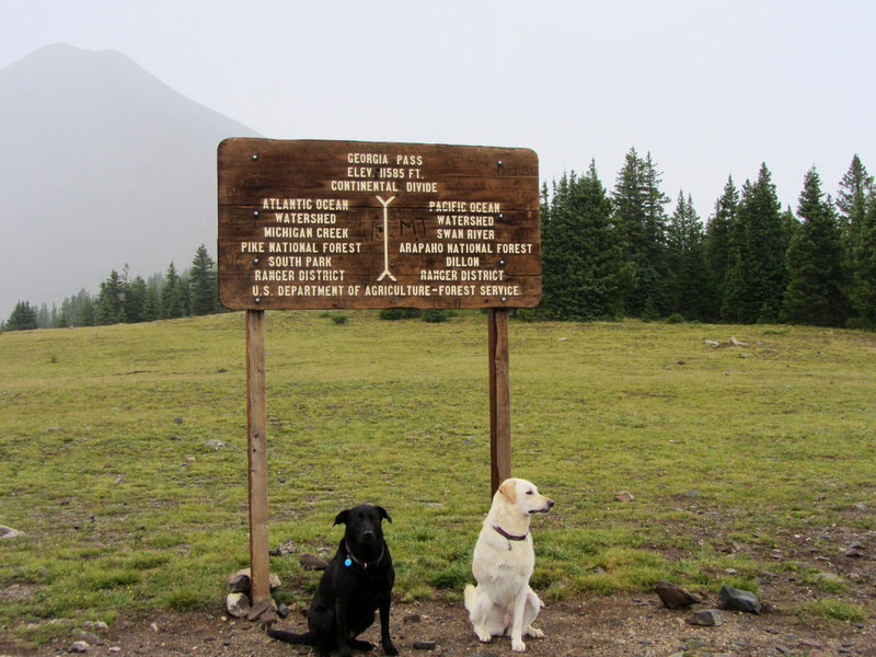 Georgia Pass