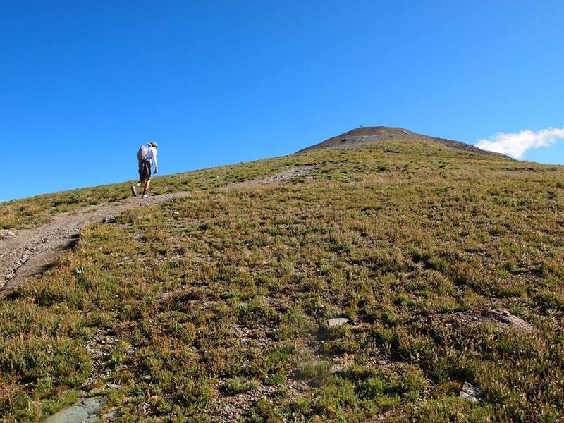 Grassy slopes near the summit.