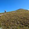 Grassy slopes near the summit.