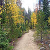 Beautiful fall colors on Rock Creek Trail