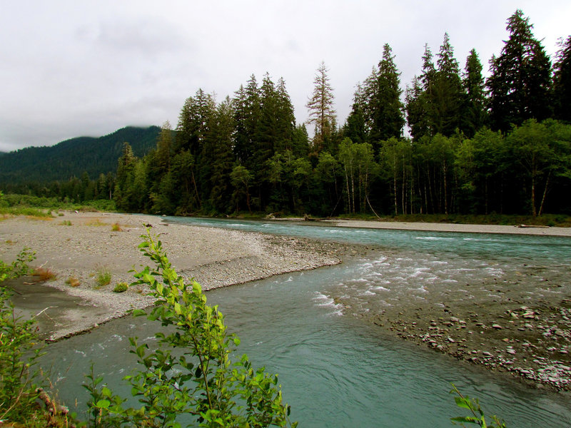 Olympic National Park, Hoh River