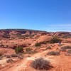 Running on Bull Run Trail