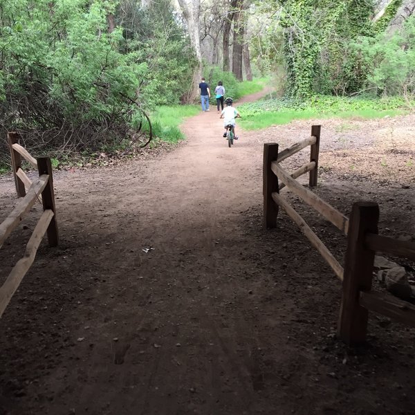 North park path, Lower Bidwell Park