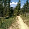 Tenderfoot Mountain in the distance