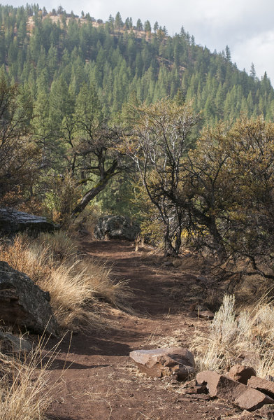 Brand new singletrack along the rim